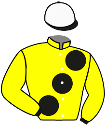 Casaque du n°6 — HENLEIN