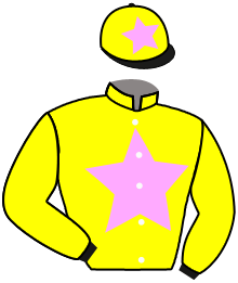 Casaque du n°2 — DR RASCAL