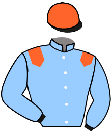 Casaque du n°17 — ZIGGY'S TRITON
