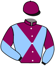Casaque du n°21 — VINTAGE CLARETS