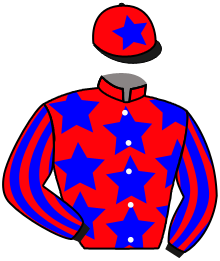 Casaque du n°24 — REIGNING PROFIT