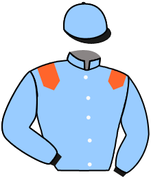 Casaque du n°3 — LEXINGTON BLITZ