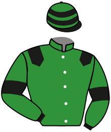 Casaque du n°9 — REGAL ENVOY