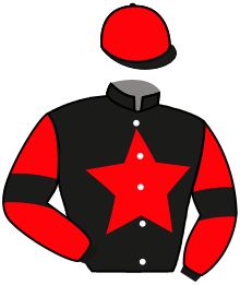 Casaque du n°11 — MR RESDEV