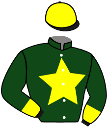 Casaque du n°13 — SEVERN COUNCILS