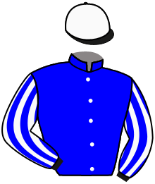 Casaque du n°14 — SHEMIYLA STAR