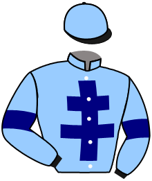 Casaque du n°16 — WOLF BAY