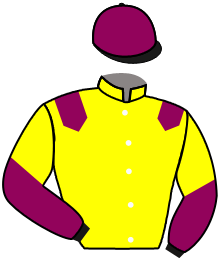 Casaque du n°6 — DORIGO