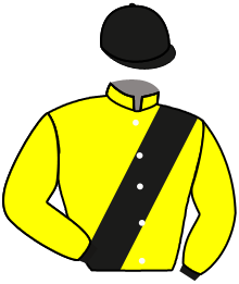 Casaque du n°11 — CRAZEE ICON