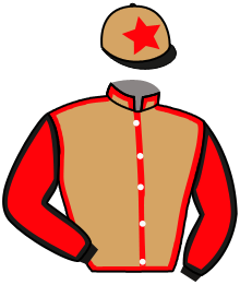 Casaque du n°2 — NANINO NIYATI
