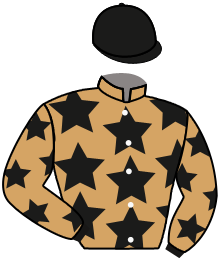 Casaque du n°7 — FLEETWATER