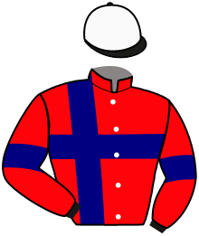 Casaque du n°2 — DAIM BRODDA