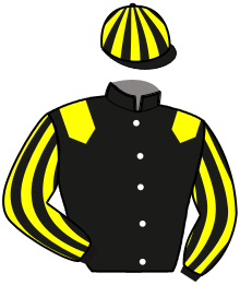 Casaque du n°5 — FIRST DE BRETAGNE