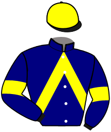 Casaque du n°5 — KOP DE NARMONT