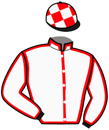 Casaque du n°10 — LOUISDOR DECHAMBOU