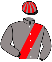 Casaque du n°5 — IGOR DU PLANTIS