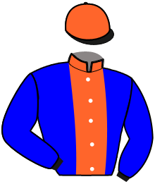 Casaque du n°14 — LASSIE