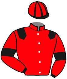 Casaque du n°2 — LANDSMAN