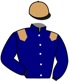 Casaque du n°15 — MEMPHIS DE BRASSE