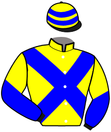 Casaque du n°2 — MON DE CHEVALERIE
