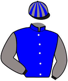 Casaque du n°7 — MELKIOR CASTELLE