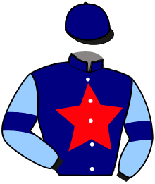 Casaque du n°2 — IQUEM NARCY