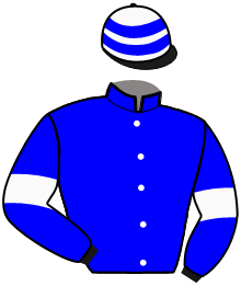 Casaque du n°3 — JADE DU CEDRE