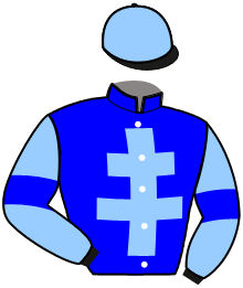 Casaque du n°10 — JOB DE CHOISEL