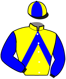 Casaque du n°3 — ICLO