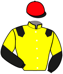 Casaque du n°8 — JUST FOR FUN