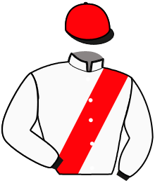 Casaque du n°6 — KOPA VRIE