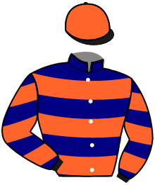Casaque du n°2 — JOKER DU CHOQUEL