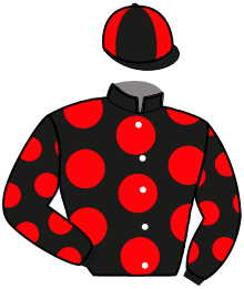Casaque du n°2 — LISA MARIA