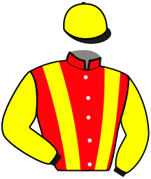 Casaque du n°12 — IDEAL D'ARTONGES