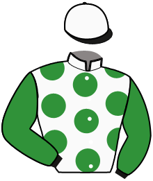 Casaque du n°8 — JAGUAR DE VILLETOT