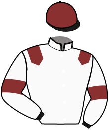Casaque du n°5 — KORSIKO