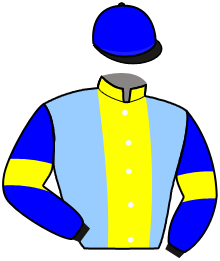 Casaque du n°7 — IQUEM D'AMER
