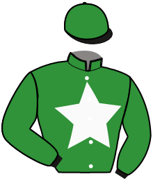 Casaque du n°11 — IPALIO