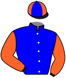 Casaque du n°12 — HALL BLACK MESS