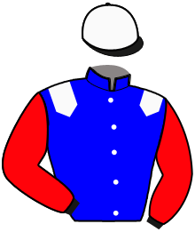 Casaque du n°2 — JALIMEDE