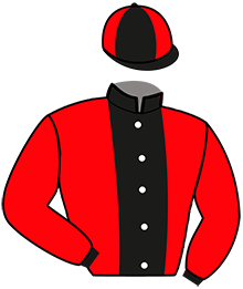 Casaque du n°3 — IOUPY TOLLEVILLE