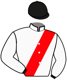 Casaque du n°9 — JIZOU D'ETANG
