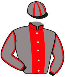 Casaque du n°1 — ORACE DES MOLLES