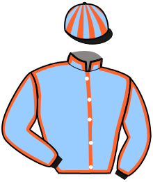 Casaque du n°8 — OPAL RAINBOW