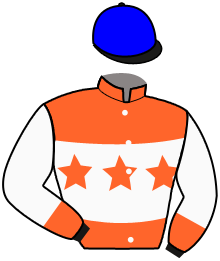 Casaque du n°1 — DOMENIK JET