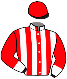 Casaque du n°11 — ELTYME