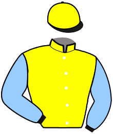 Casaque du n°12 — MICHIGAN BRO
