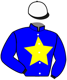 Casaque du n°13 — ELMAHARAJAH CAN