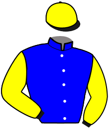Casaque du n°7 — KENNEDY FRANCE