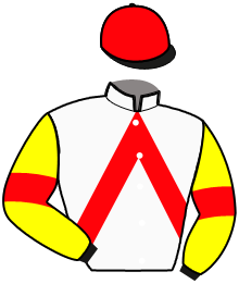 Casaque du n°1 — MILOU DE SALOMAX